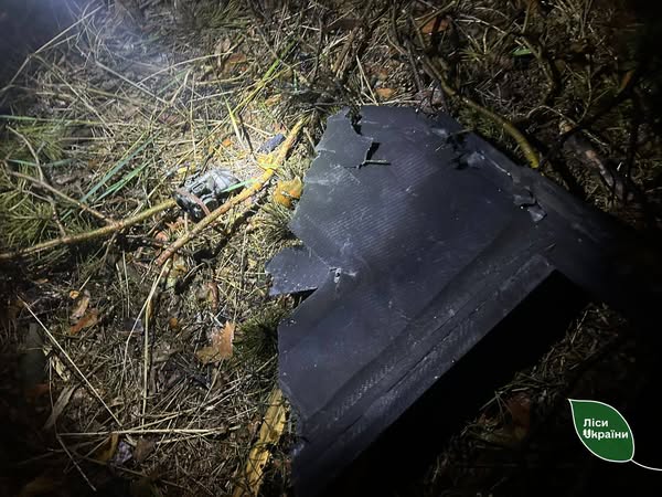 Лісництва на Житомирщині й Київщині потрапили в зону ураження під час нічної атаки дронів