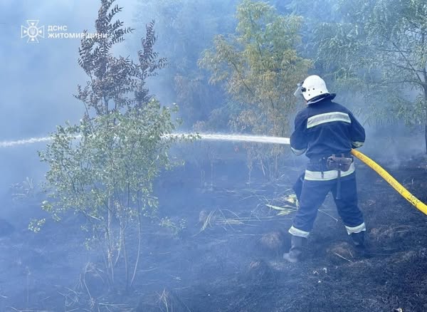 На Житомирщині за минулу добу вогнеборці тричі виїжджали на гасіння загорянь сухої рослинності