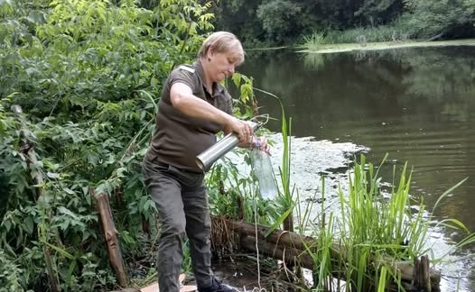 Результати лабораторних досліджень проб води з річки Хомора: зафіксовано перевищення ХСК, БСК5 та недостатню кількість кисню