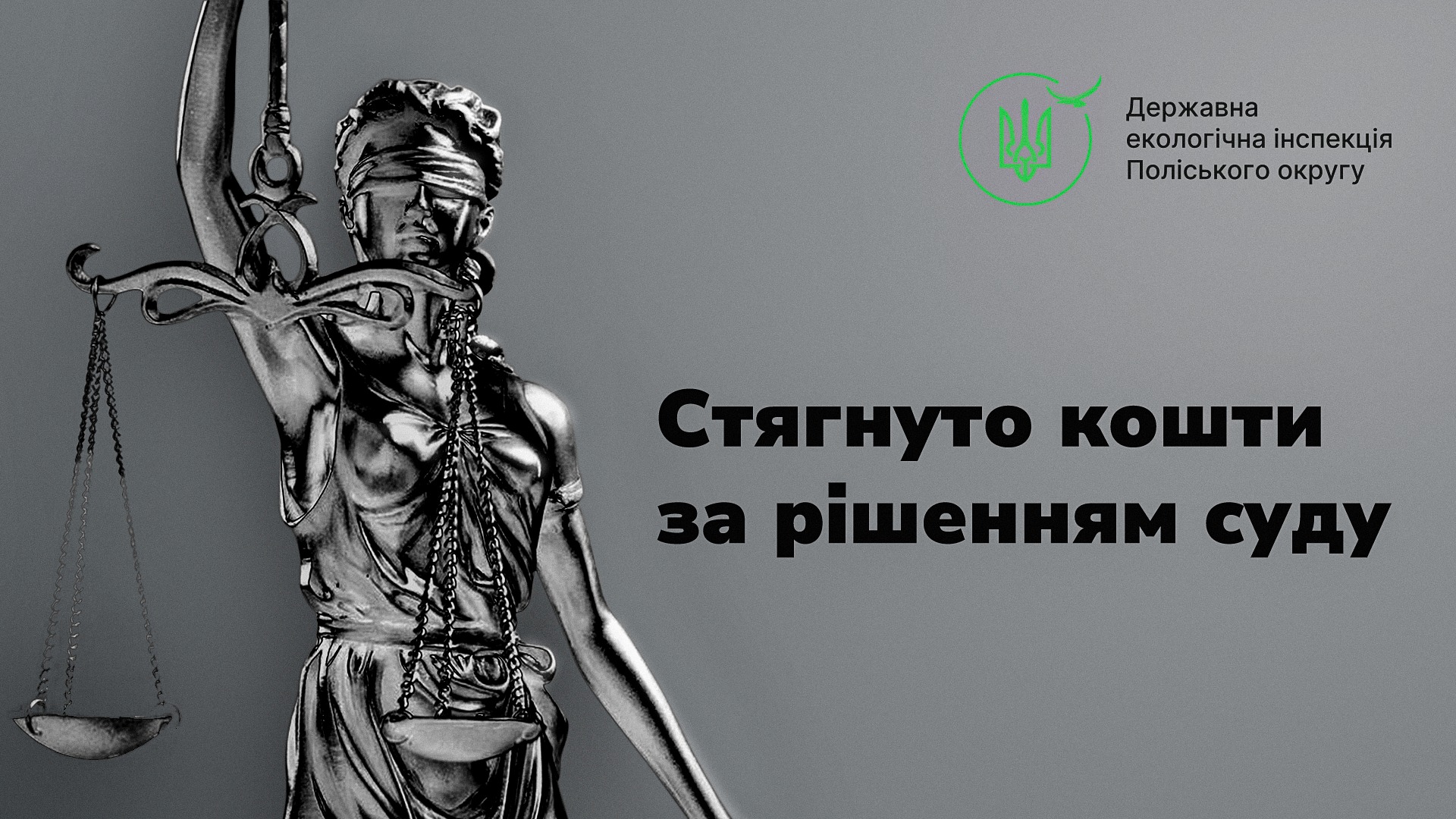 Пулинська селищна рада за рішенням суду сплатила майже 1,8 млн шкоди довкіллю через незаконну порубку на самозаліснених землях