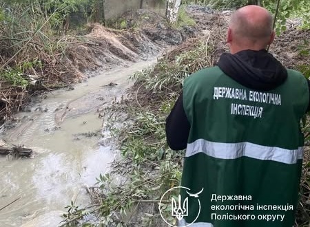 Екоінспекція перевірила інформацію про можливе забруднення водойми в селі Довжик
