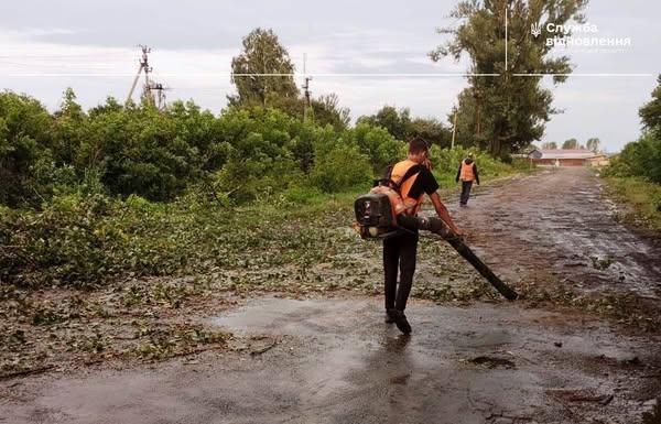 На Житомирщині після грози дорожники прибрали більше двох десятків дерев, що заважали проїзду