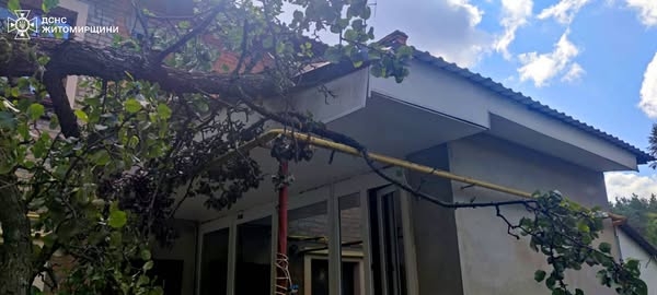 У Житомирі рятувальники прибрали дерево, яке впало на дах веранди