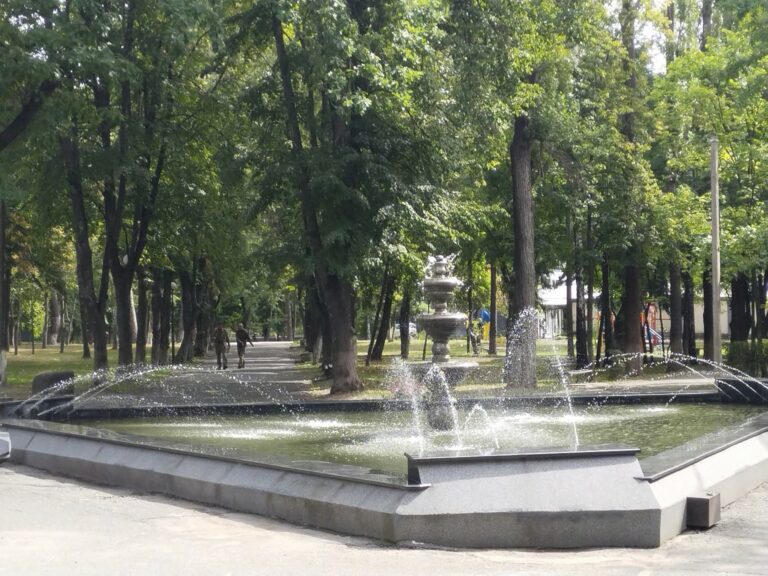 У Малині відбувся круглий стіл де обговорювали історичний розвиток громади й перспективи реконструкції місцевого парку
