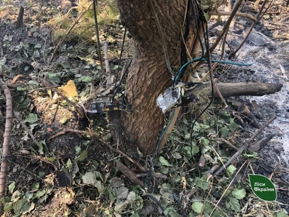 У Коростишівському районі через падіння уламків російських безпілотників з загорівся ліс