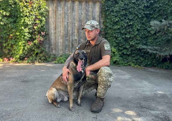 На Житомирщині прикордонники вдосконалюють підготовку мінно-розшукових собак