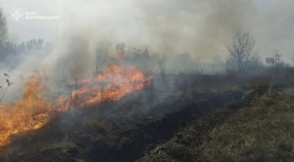 У Житомирському районі через загоряння сухої трави, вогонь ледь не перекинувся на житлові будинки