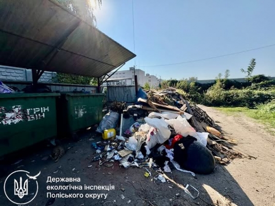 У Житомирі держекоінспектори виявили сміттєзвалище поблизу контейнерного майданчика по вулиці Новопівнічній