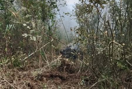У лісах Житомирщини та Київщини вчергове спалахнули пожежі внаслідок ворожих атак