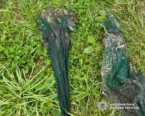 У Піщівській громаді затримали чоловіка, який виловив 59 річкових раків