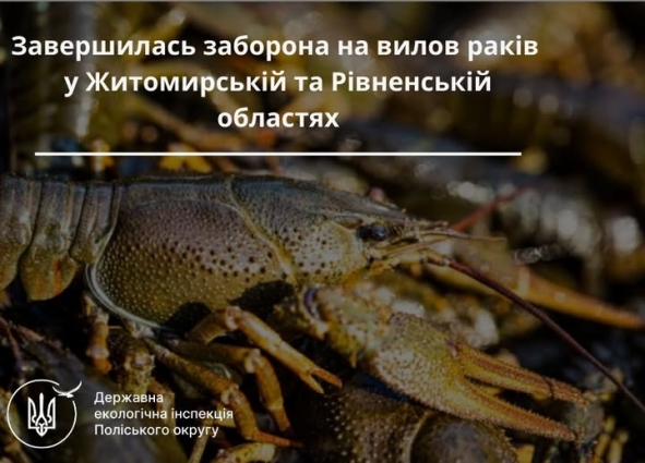 На Житомирщині та Рівненщині завершується заборона на вилов річкових раків