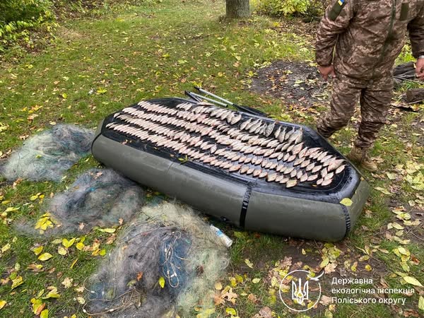 На Житомирщині екоінспектори викрили масштабний незаконний вилов риби: збитки рибному господарству становлять понад 380 тисяч гривень