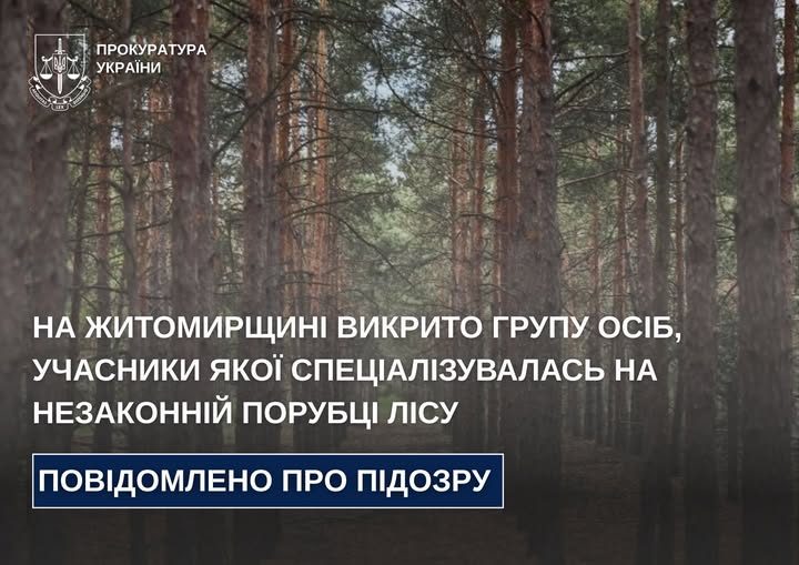 На Житомирщині викрито групу осіб, учасники якої спеціалізувалась на незаконній порубці лісу