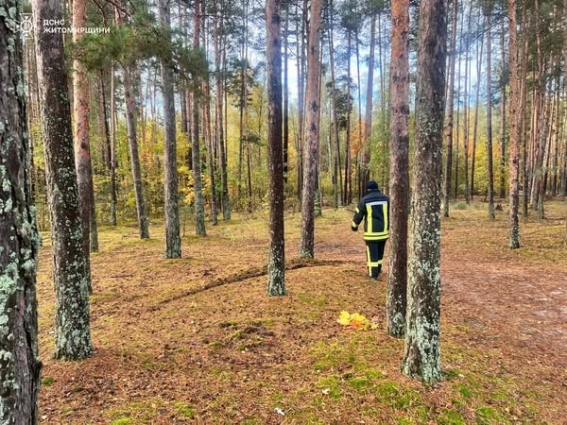 На Житомирщині знайшли зниклу в лісі 73-річну жінку