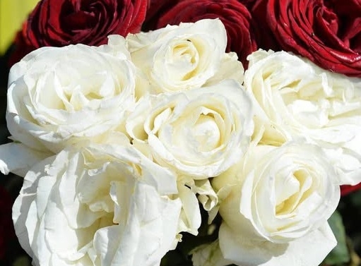 У Житомирі попрощались з Героєм Денисом Савчуком, який загинув під час виконання бойового завдання на Донеччині