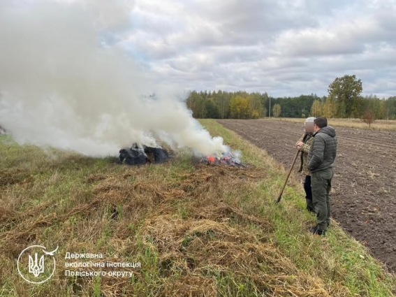 На Житомирщині екоінспектори притягнули порушника до відповідальності за спалювання сухої рослинності