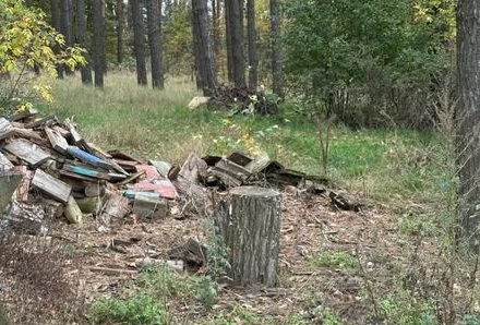 В межах роботи ПЕК №1 екоінспектори притягнули до відповідальності чотирьох порушників за засмічення лісу