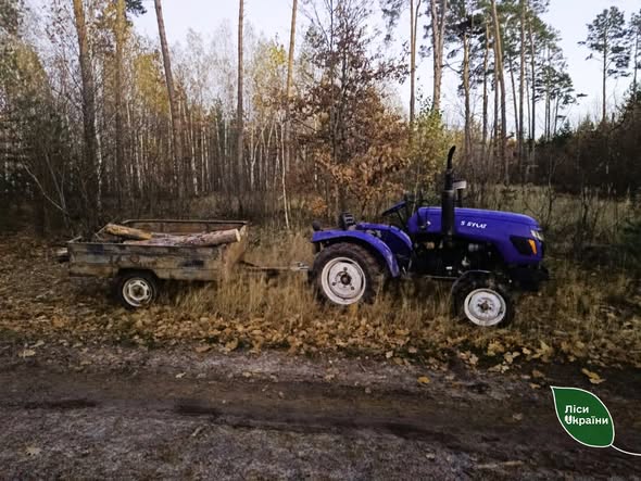 У Коростишівському надлісництві на чоловіка впало дерево, він загинув