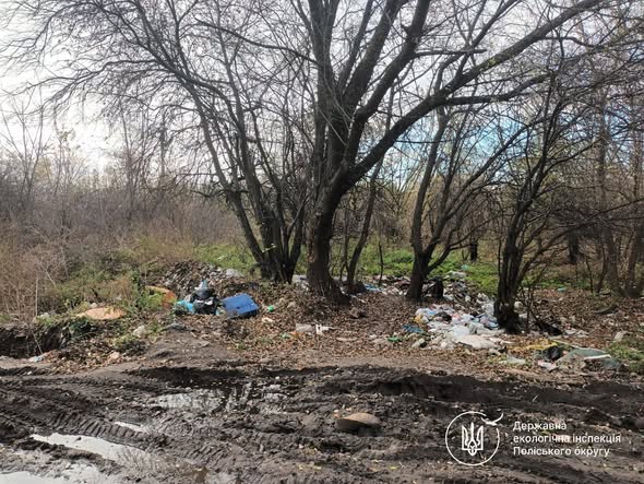 У Житомирі виявлено несанкціоновані сміттєзвалища вздовж дороги до полігону ТПВ