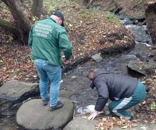 У Звягельському районі екоінспектори виявили забруднення річки Глинянки