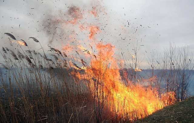 На Житомирщині з початку року вогнеборці ліквідували 221 пожежу сухої трави