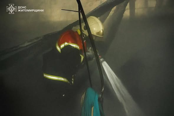 З початку року у Житомирському районі на пожежах загинули 25 людей, вогонь завдав збитків на 647 млн грн