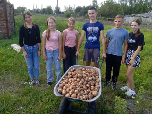 Учні Чуднівської гімназії виростили урожай для шкільної їдальні та висадили молодий сад