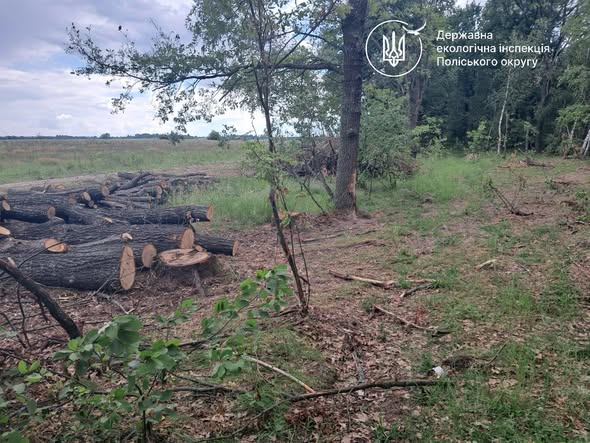 Потіївська сільська рада має відшкодувати понад 2,5 млн грн шкоди, завданої незаконною порубкою 122 дубів