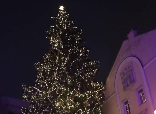 У Житомирі 6 грудня на Михайлівській засяє головна новорічна ялинка міста