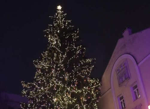 У Житомирі 6 грудня на Михайлівській засяє головна новорічна ялинка міста