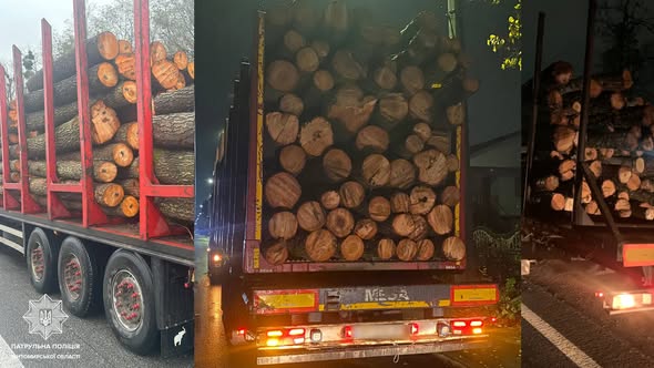 На Житомирщині за місяць виявлено 50 випадків порушення правил перевезення лісопродукції