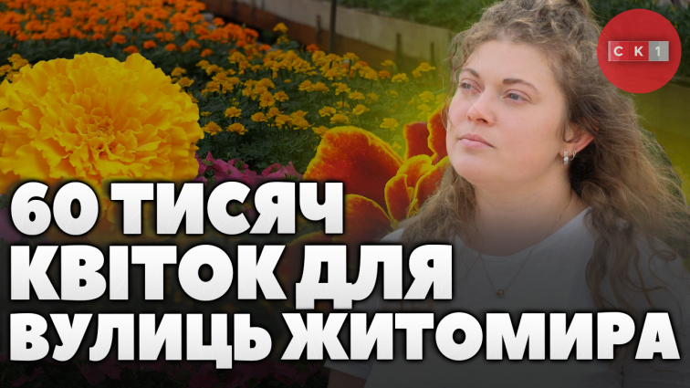 КП «Зеленбуд» готують 60 тисяч квіток, кущів та дерев для озеленення Житомира (ВІДЕО)