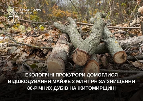 Екологічні прокурори домоглися відшкодування майже 2 млн грн за знищення 80-річних дубів на Житомирщині