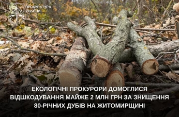 Екологічні прокурори домоглися відшкодування майже 2 млн грн за знищення 80-річних дубів на Житомирщині