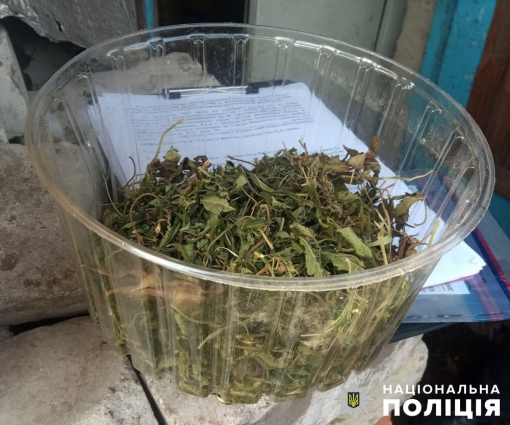 На Олевщині затримали двох чоловіків, які зберігали наркотики вдома (ФОТО)
