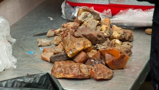 На Житомирщині конфісковано більше 4-х тонн бурштину вартістю понад 33 млн грн – кошти від його продажу надійдуть до Держбюджету України