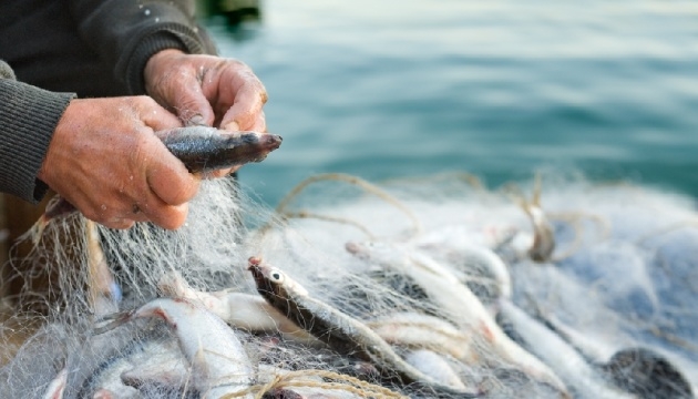 З жителя Житомирщини стягнуто понад 170 тис грн шкоди, нанесеної довкіллю внаслідок порушення правил рибальства