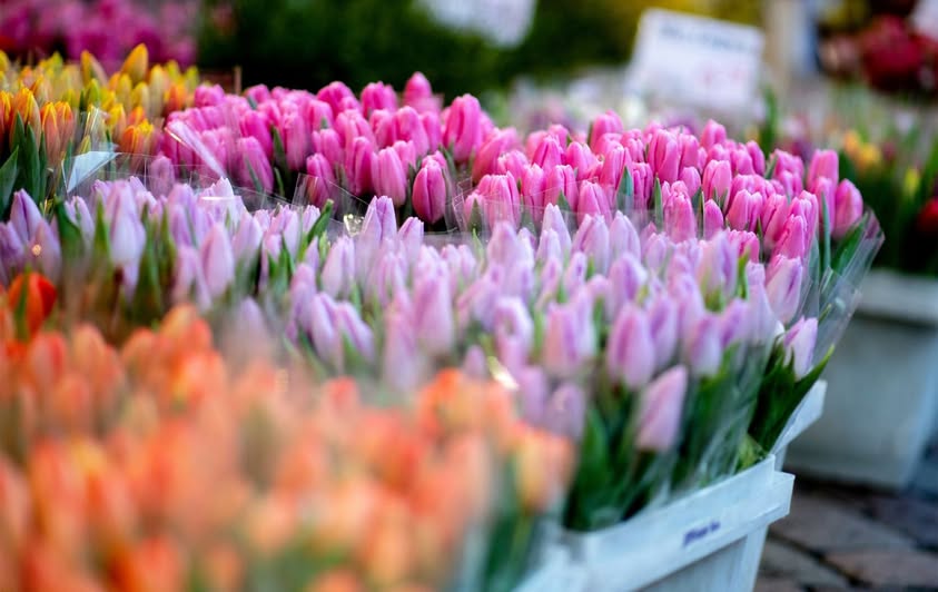 У Житомирі з 1 березня працюватимуть майданчики для продажу квітів