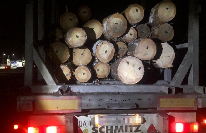 На Житомирщині зупинили дві вантажівки, в яких перевозились колоди сосни без документів