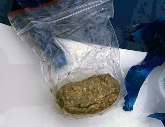 На Житомирщині за вихідні поліцейські вилучили наркотичні речовини в сімох жителів області