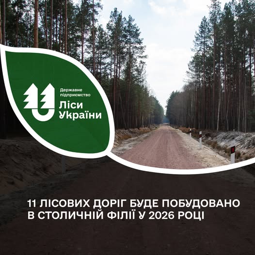 У Звягельському надлісництві заплановано будівництво найбільшої за протяжністю лісової дороги