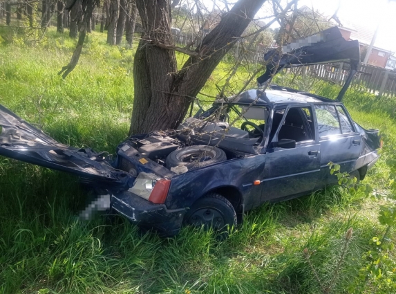У Городоцькій громаді водій автомобіля ЗАЗ здійснив зіткнення з деревом