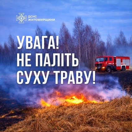 На Житомирщині за добу сталося 5 пожеж в природних екосистемах