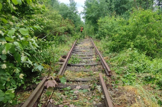 Понад 100 металевих деталей, 250 болтів та гайок: на Андрушівщині затримали двох чоловіків, які розбирали залізничні колії (ФОТО)