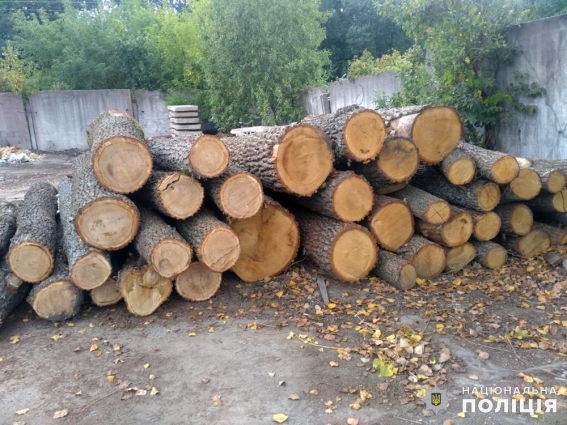 У Білокоровицькій громаді на території приватної лісопильні виявили більше сотні колод деревини без документів