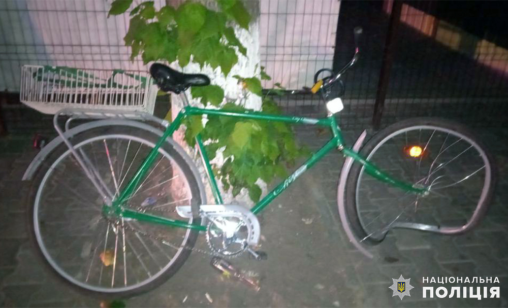 У Коростенському районі під колеса автівки потрапив 38-річний чоловік