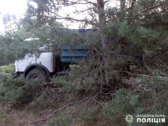 За незаконну порубку деревини місцевим жителям Бердичівщини загрожує кримінальна відповідальність