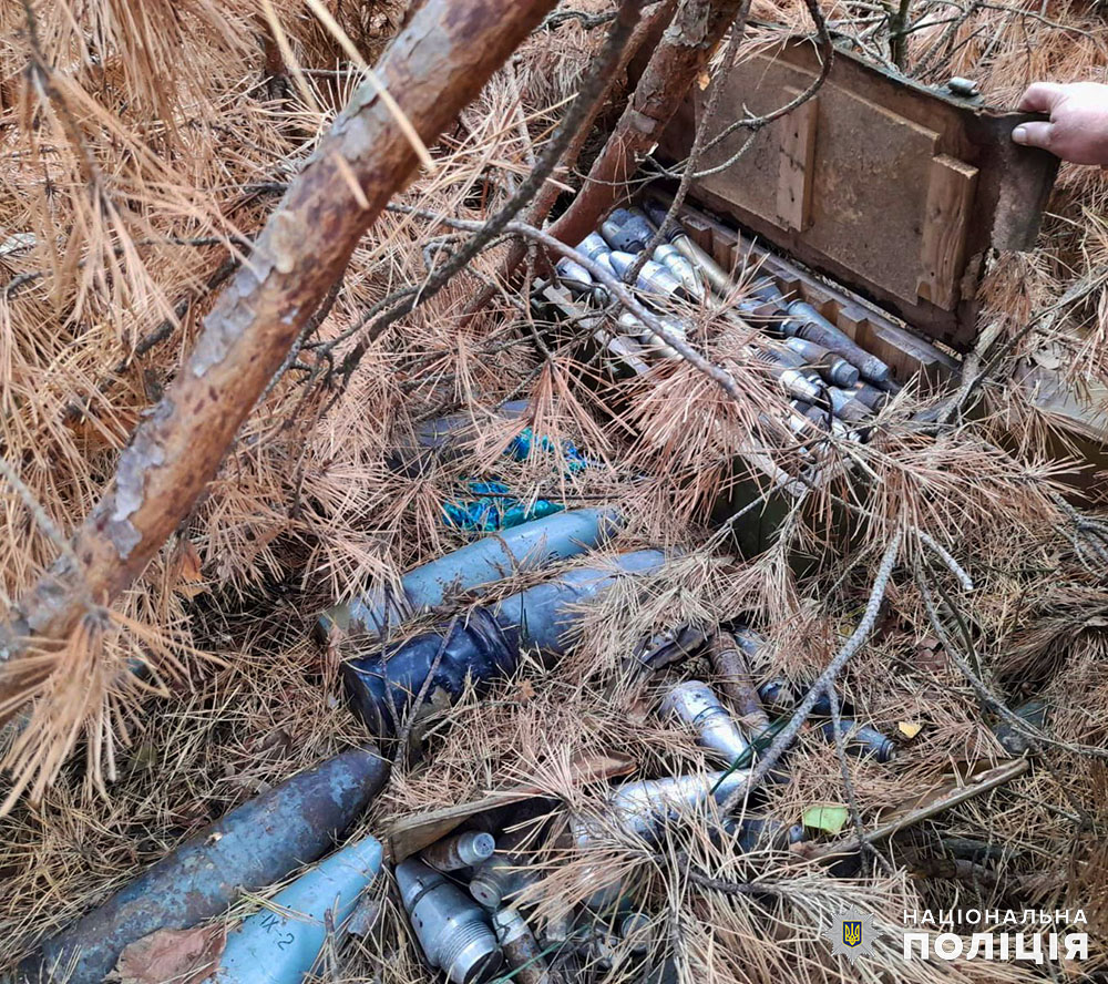 Пішов у ліс по гриби, а знайшов склад боєприпасів: на Житомирщині поліцейські знешкодили небезпечний арсенал