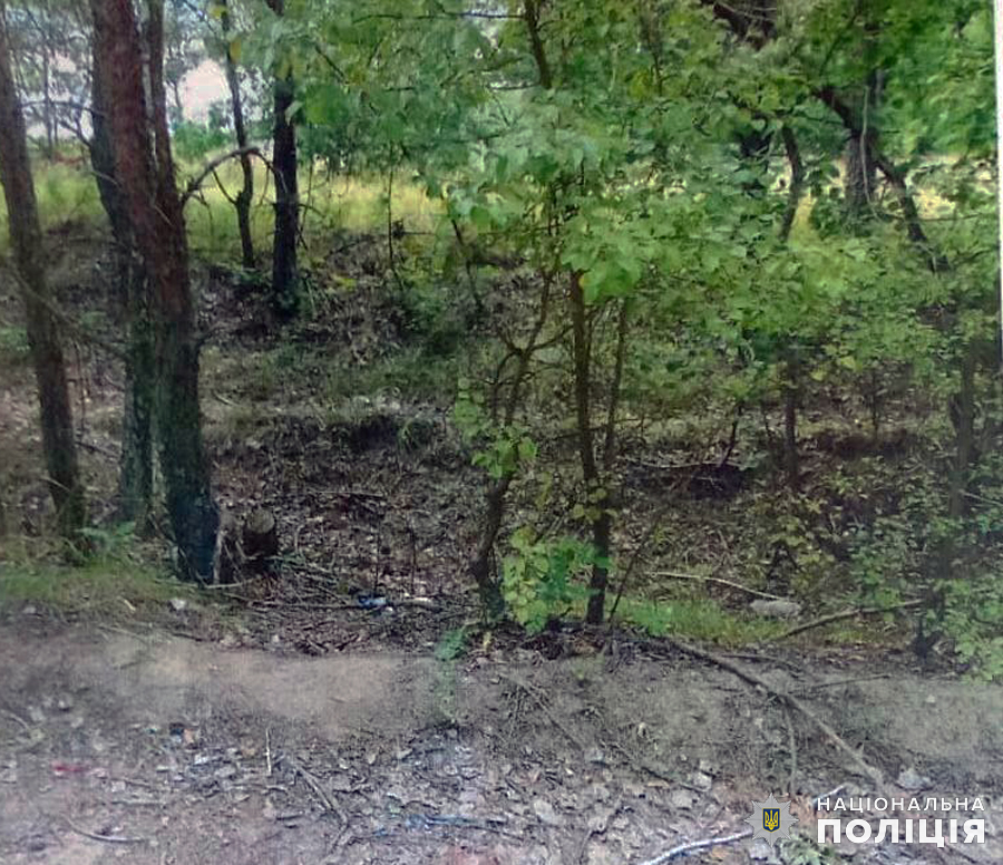 У Радомишльській громаді в лісі селяни знайшли сховок із зброєю та боєприпасами