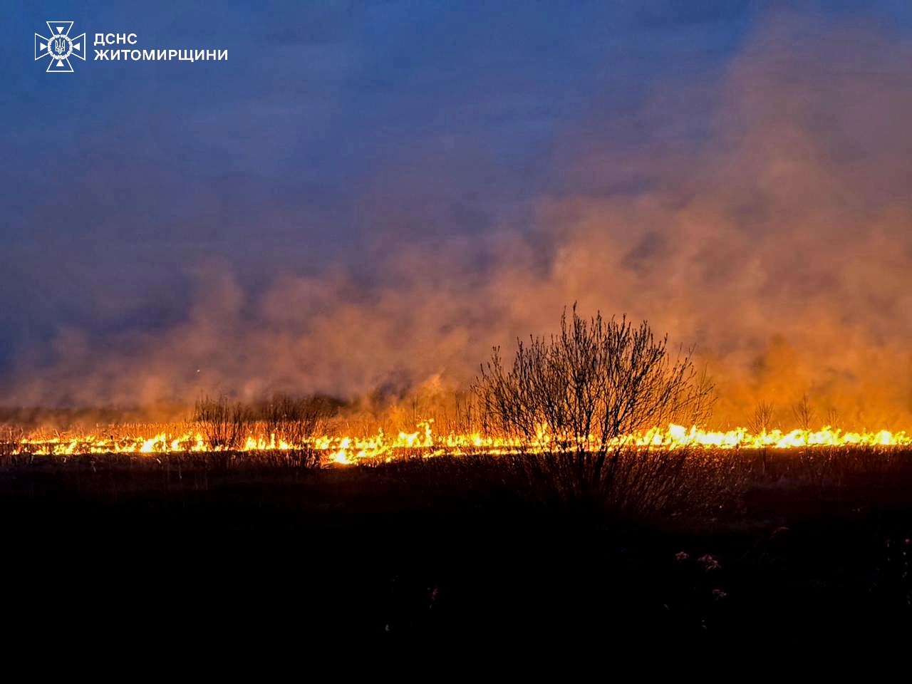 На Житомирщині за добу сталося 25 загорянь сухої трави